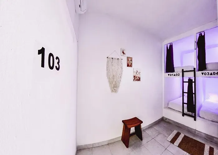 My Capsule Hostal *
